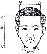 Tướng trán